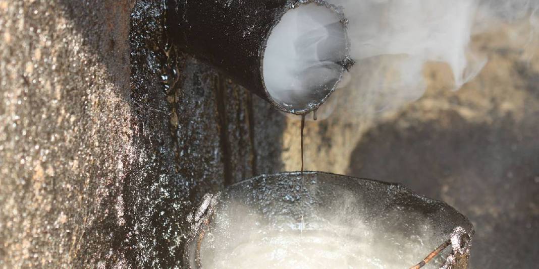 Önce toprağın altına gömüyor, 72 saat bekletiyorlar! Atadan kalma yöntem: Bu üretimde sadece 80 kg ürün alıyorlar 6